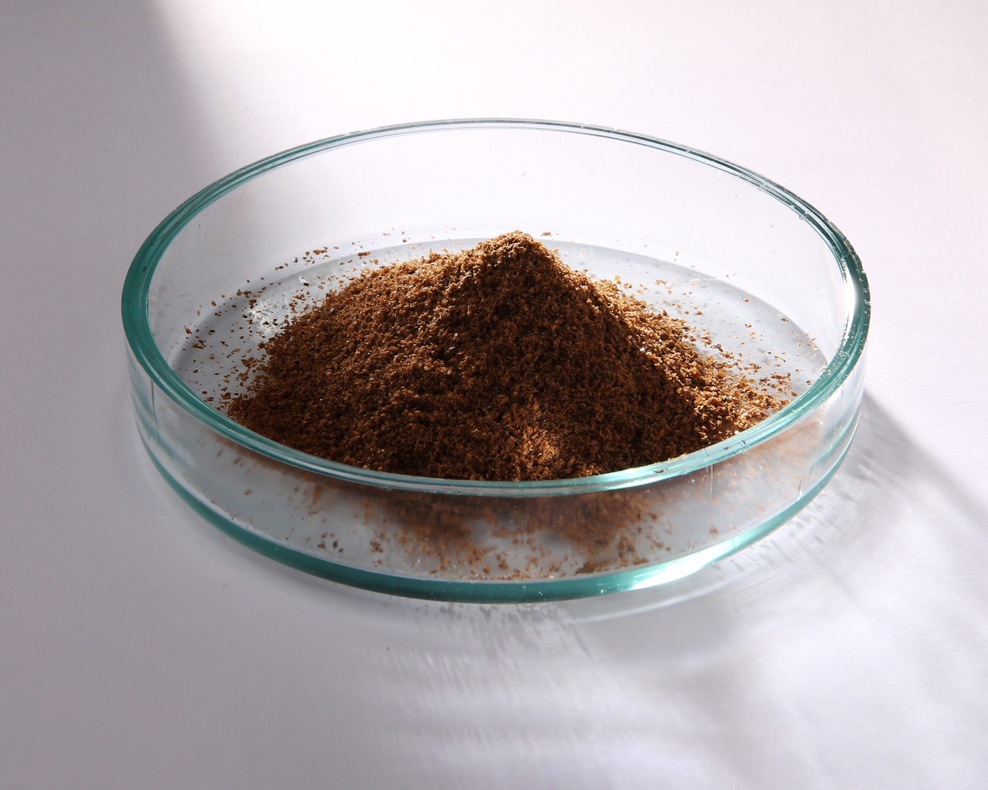 Defatted insect powder (DIP)